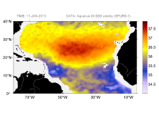 Sea surface salinity, January 11, 2015