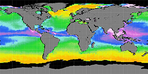 Sea surface density, October 2011