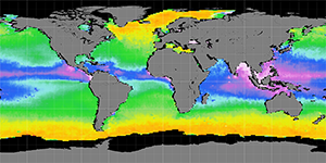 Sea surface density, November 2011