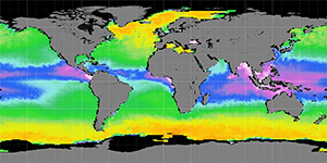 Sea surface density, December 2012