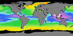 Sea surface density, June 2013