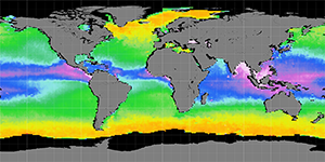 Sea surface density, November 2013