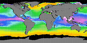 Sea surface density, October 2014