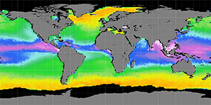 Sea surface density, November 2014