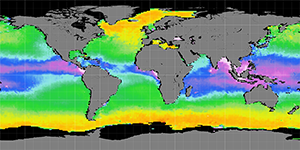 Sea surface density, December 2014