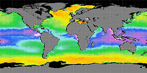 Sea surface density, February 2015