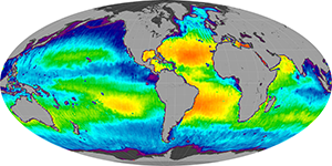 Global sea surface salinity, January 2015