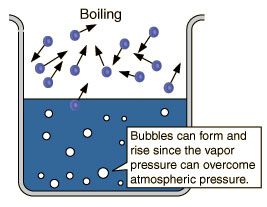 Bubbles form when vapor pressure overcomes atmospheric pressure