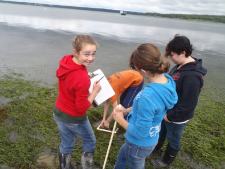 Teaching science by ocean inquiry