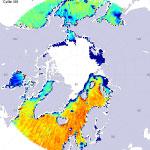Sea surface salinity at the north pole