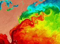 Sea surface temperature of the Gulf Stream