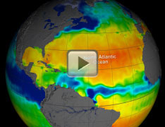 Map of sea surface salinity