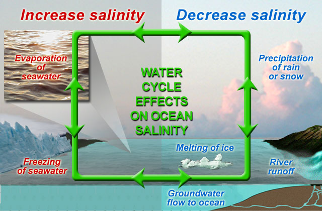 salinity levels in the ocean