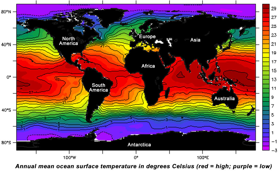 Global sea surface temperature values